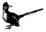 Roadrunner Bird v1 Decal Sticker